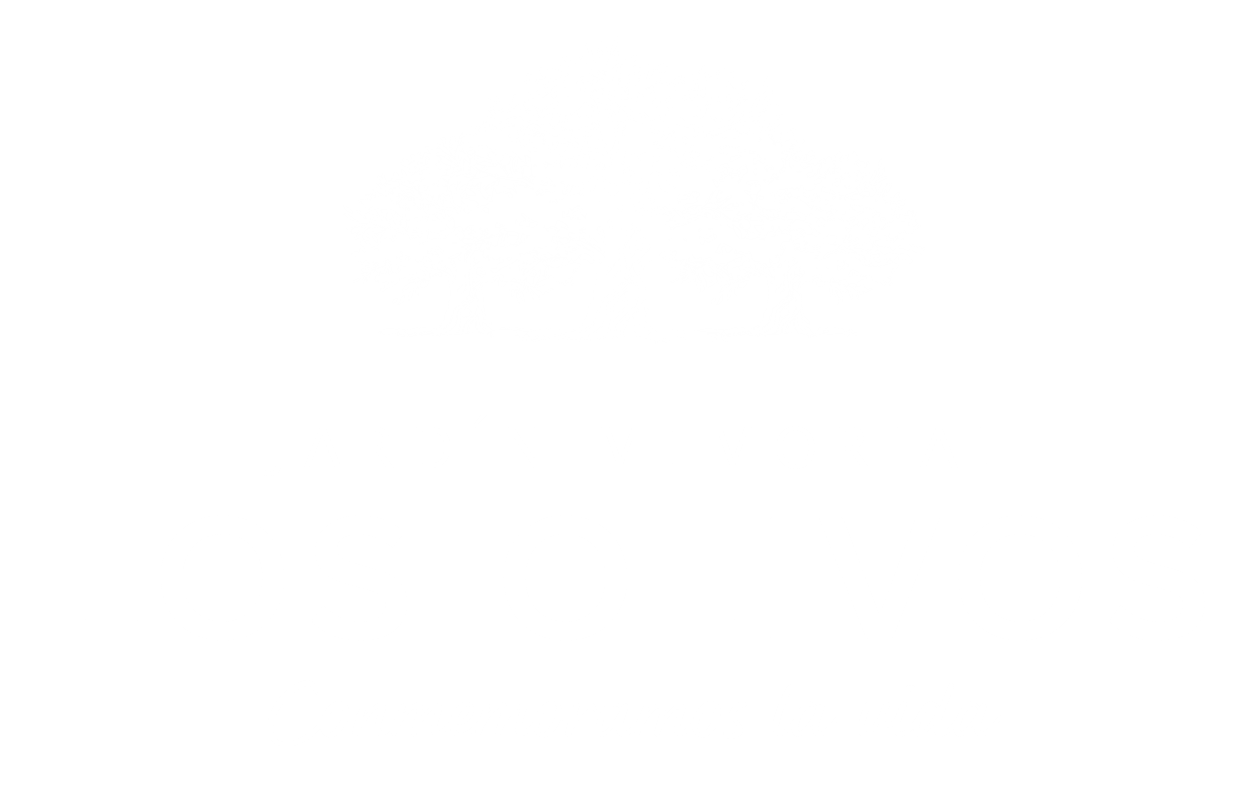 logo en formato rgb Jardin Memorial Los Olivos