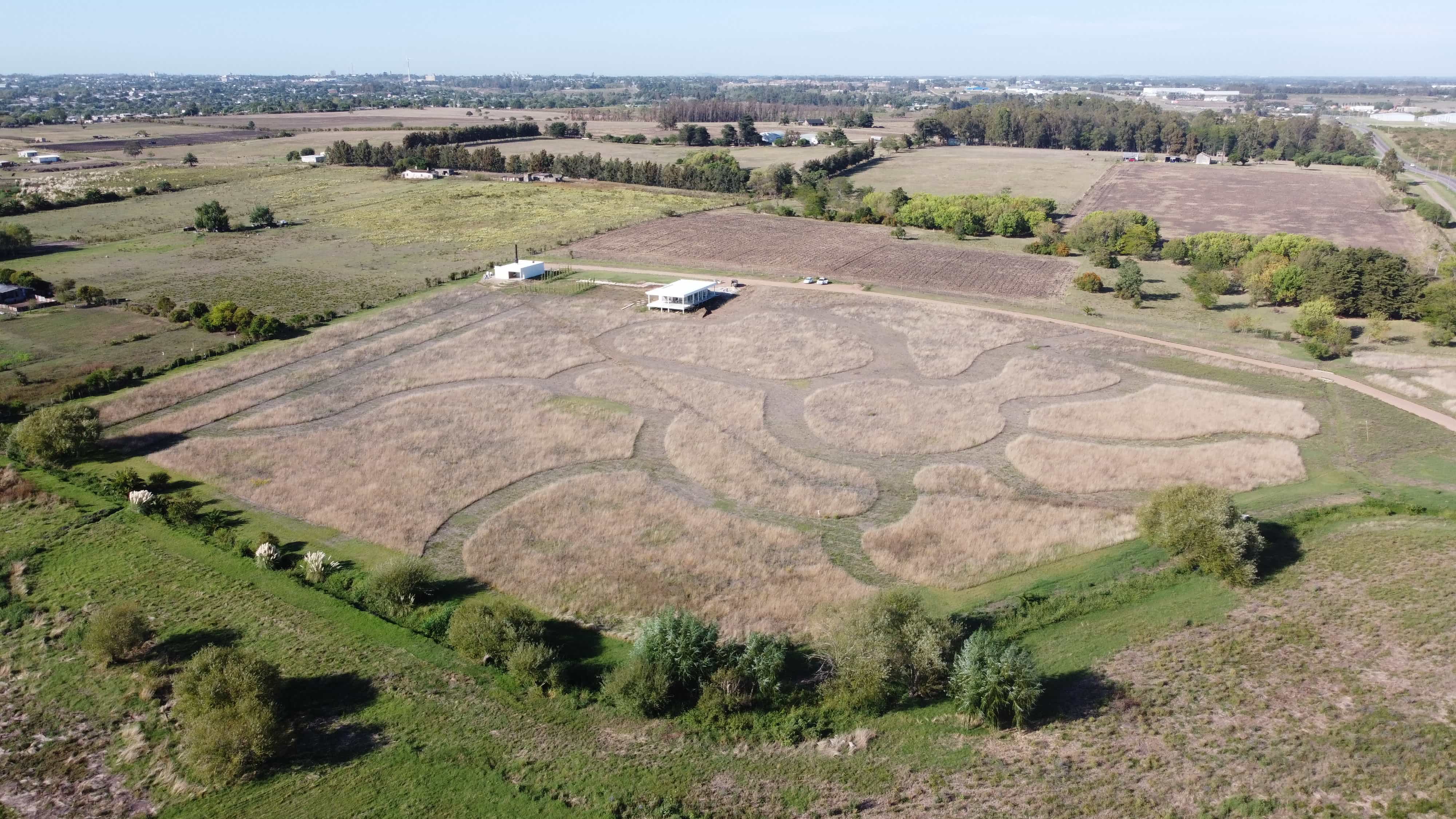 Vista aerea de pastizales obtenidas en un dron en Jardin Memorial Los Olivos ciudad de Progreso departamento de Canelones