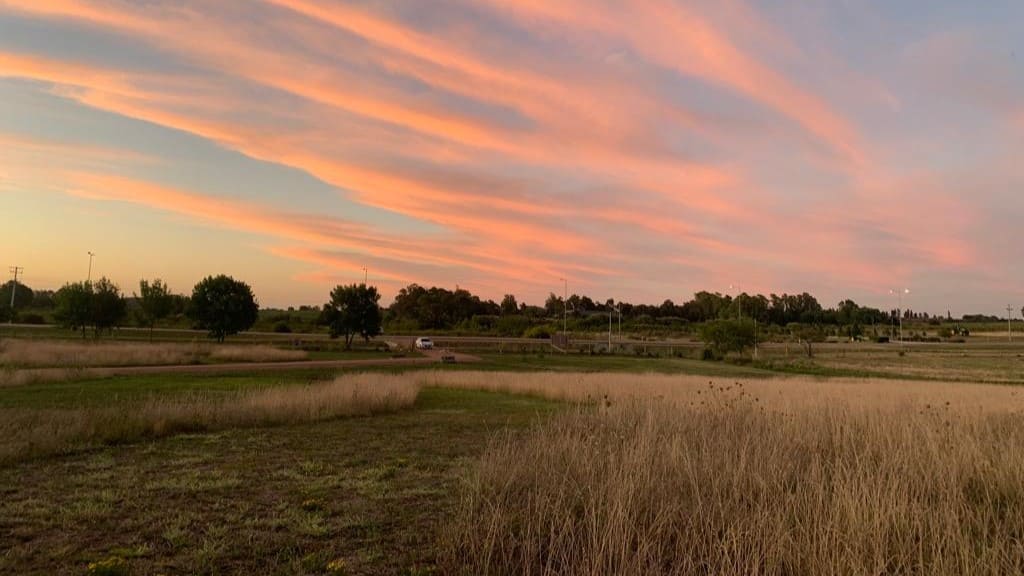 atardecer rosado visto desde los pastizales en Jardin Memorial Los Olivos ciudad de Progreso departamento de Canelones